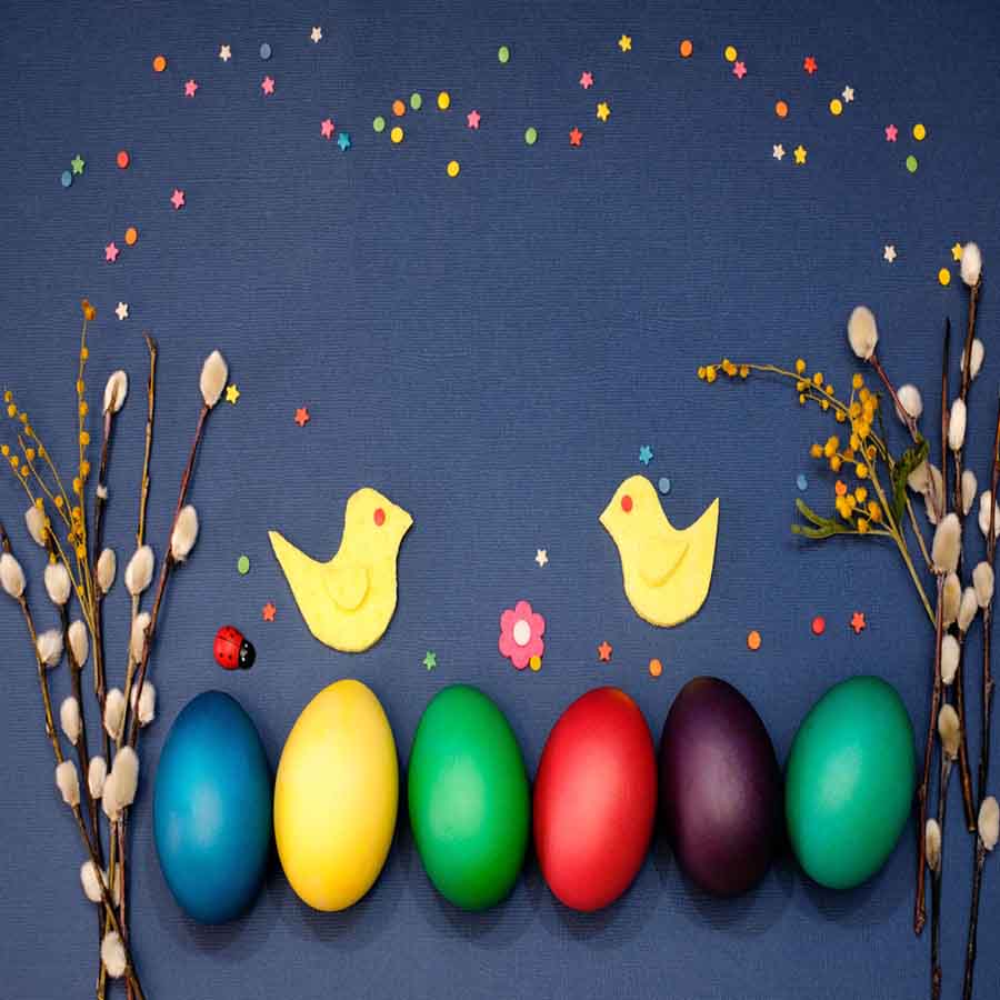 Fox Rolled Colorful Eggs Vinyl Easter Photo Backdrop - Foxbackdrop