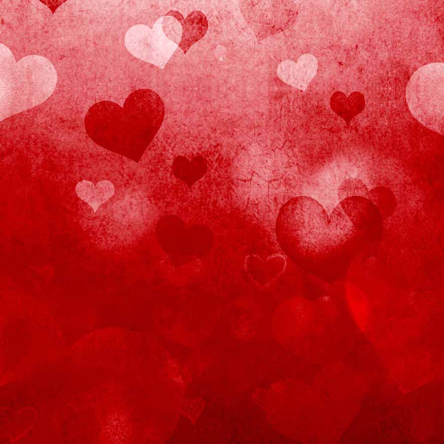 Fox Rolled Red Love Valentine's Day Vinyl Backdrop - Foxbackdrop