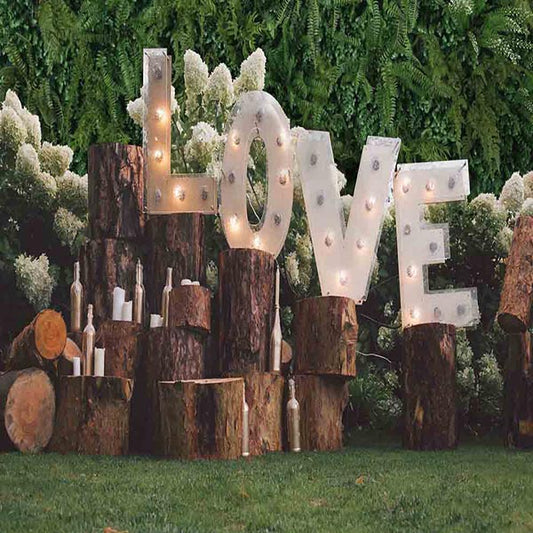 Fox Rolled Valentine's Day Vinyl Photography Backdrop - Foxbackdrop