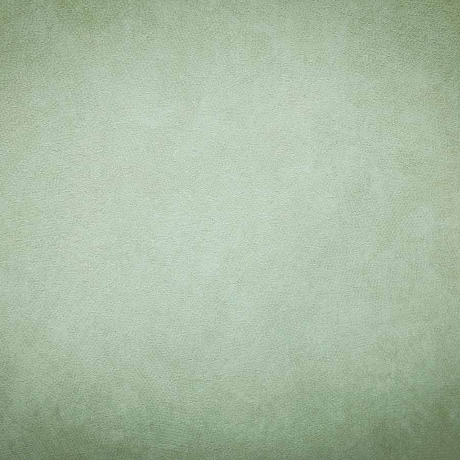 Fox Rolled Abstract Green Portrait Vinyl Photo Backdrop - Foxbackdrop