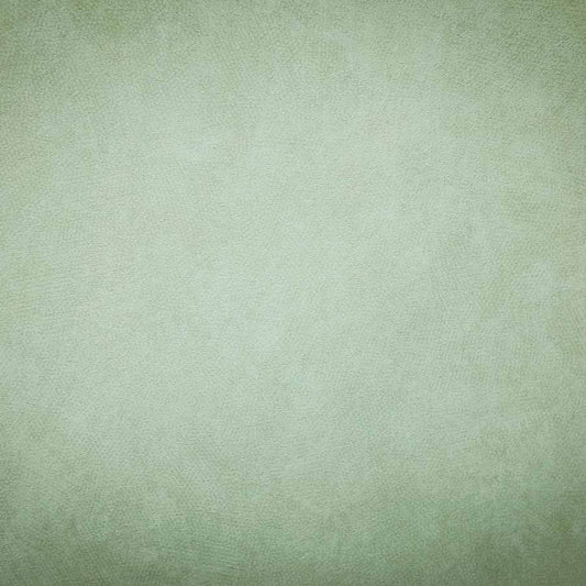 Fox Rolled Abstract Green Portrait Vinyl Photo Backdrop - Foxbackdrop