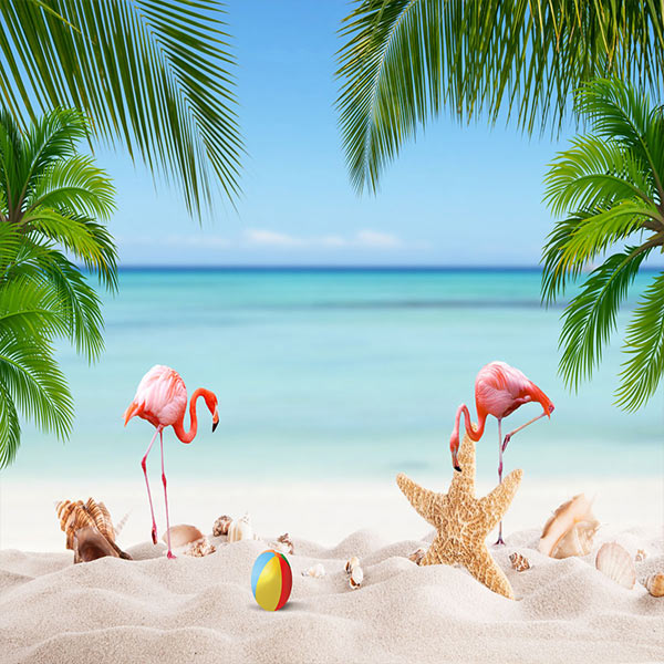Fox Rolled Vinyl Summer Beach Holiday Photo Backdrop - Foxbackdrop
