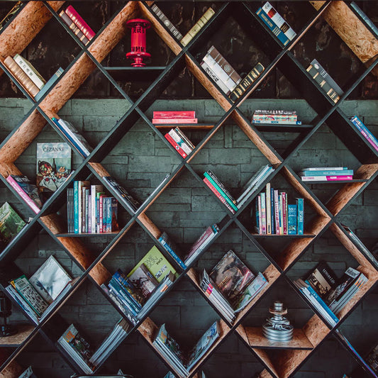 Fox Vinyl Back To School Backdrop with Books Shelf - Foxbackdrop