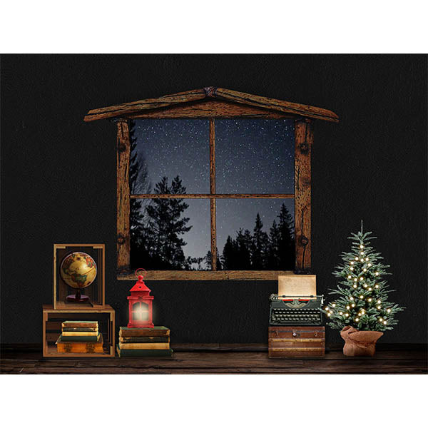 Fox Vinyl Night Christmas Backdrop with Window Sky - Foxbackdrop
