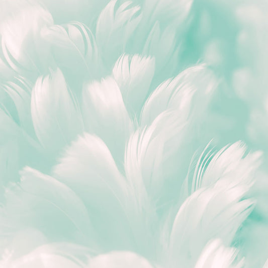 Fox Rolled White Feather Green Vinyl Backdrop - Foxbackdrop