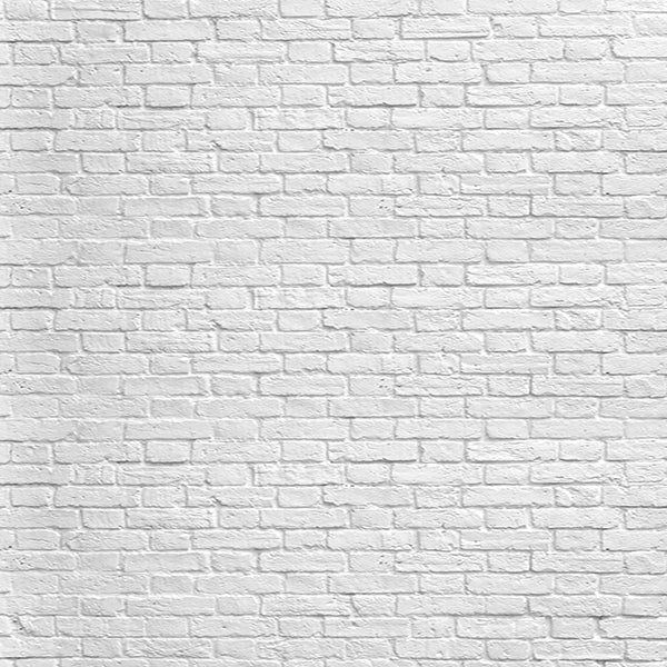 Fox Rolled White Gray Brick Wall Vinyl Photo Backdrop - Foxbackdrop