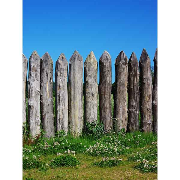 Fox Rolled Spring Fence Sky Vinyl Backdrops for Photography - Foxbackdrop