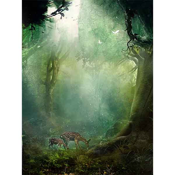 Fox Rolled Spring Jungle Trees Vinyl Photo Backdrops - Foxbackdrop