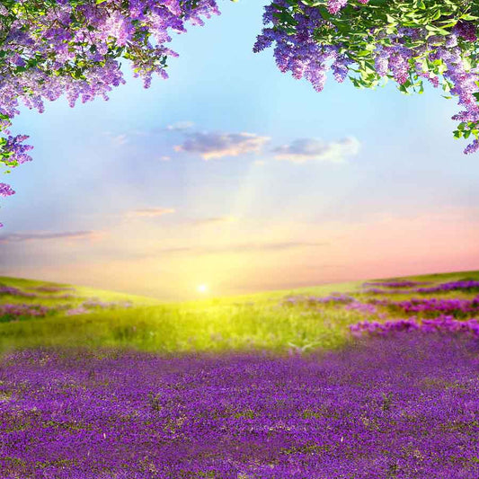 Fox Rolled Purple Lavender Flowers Scenery Vinyl Photo Backdrop - Foxbackdrop