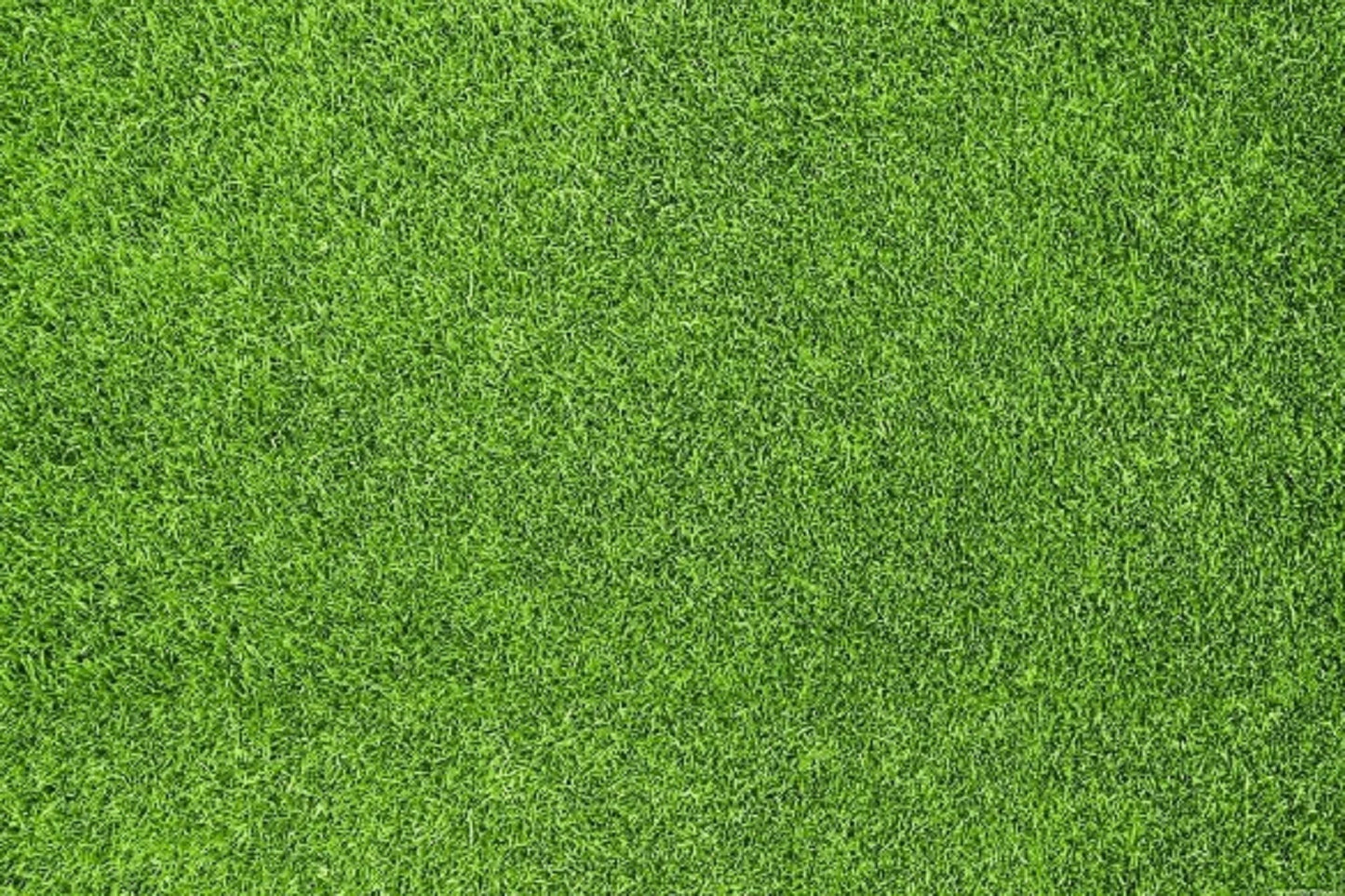 Fox Spring Green Grassland Rubber Mat Floor - Foxbackdrop