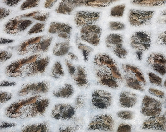 Fox Winter Snow Rubber Flooring Mat