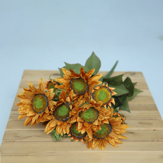 Fox Sunflower Flower Photography Props