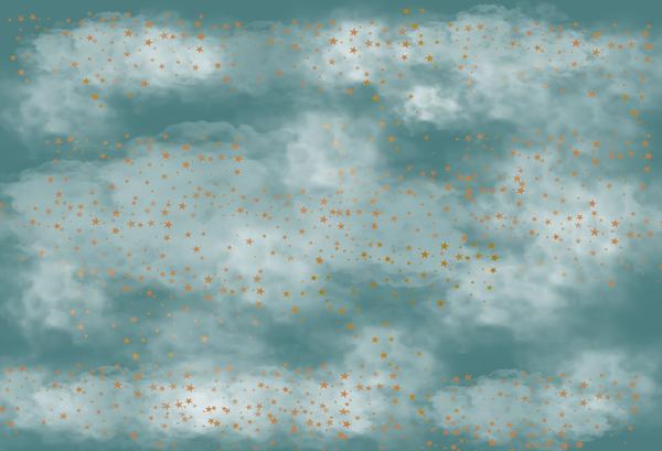 Fox Rolled Children Birthday Clouds Stars Vinyl Backdrop - Foxbackdrop