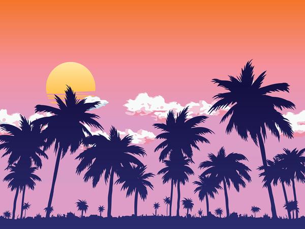 Fox Summer Sunset Coconut Trees Vinyl Backdrop - Foxbackdrop