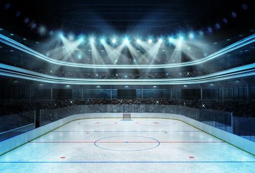 Fox Hockey Stadium Sports Vinyl Backdrop - Foxbackdrop