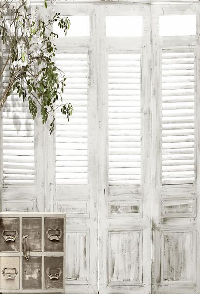 Fox Retro Shutter Doors Vinyl Backdrop - Foxbackdrop
